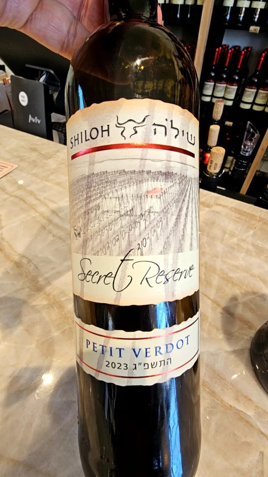תמונת ביקורת