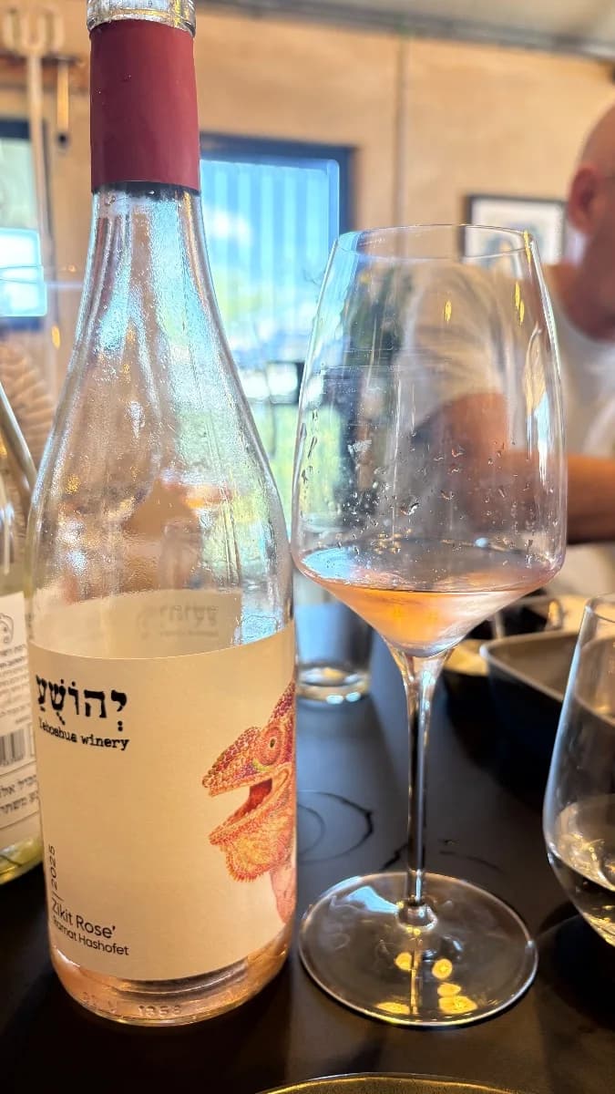 תמונת ביקורת