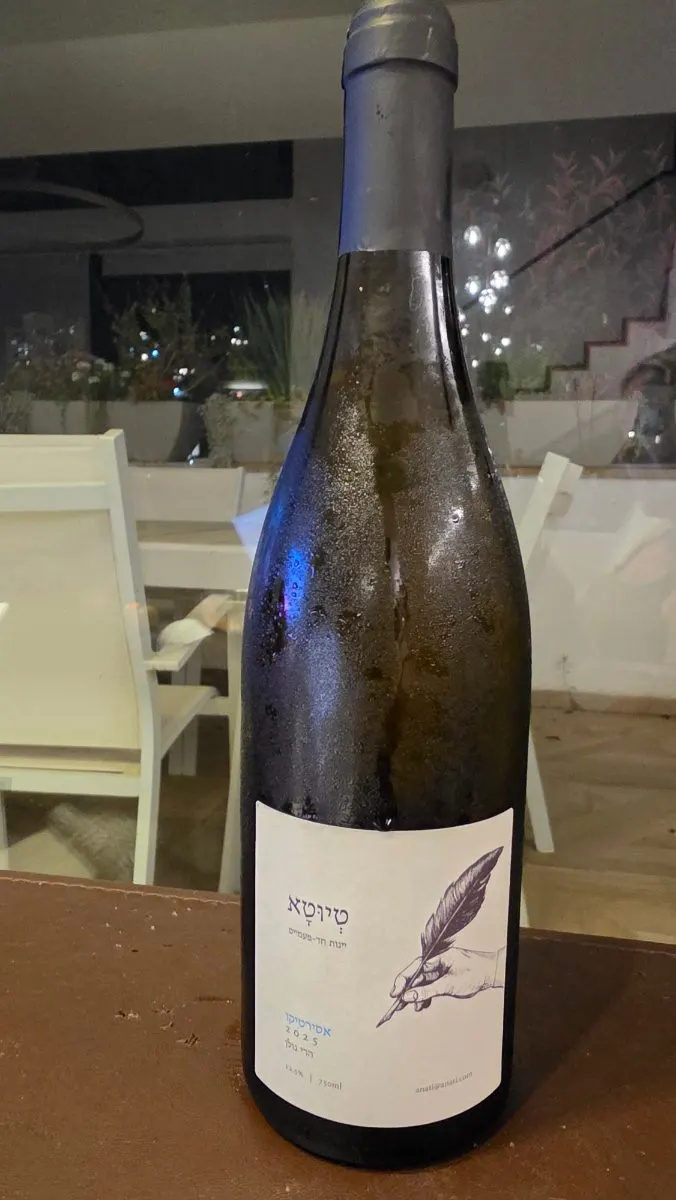 תמונת ביקורת