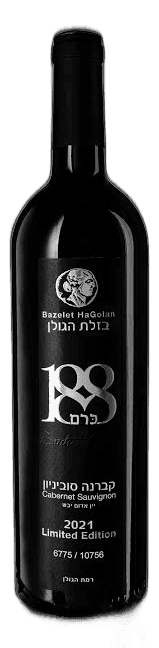 תמונת ביקורת