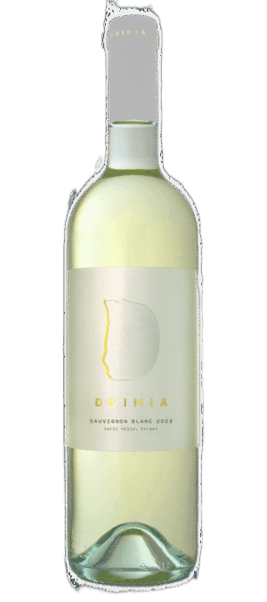 תמונת ביקורת