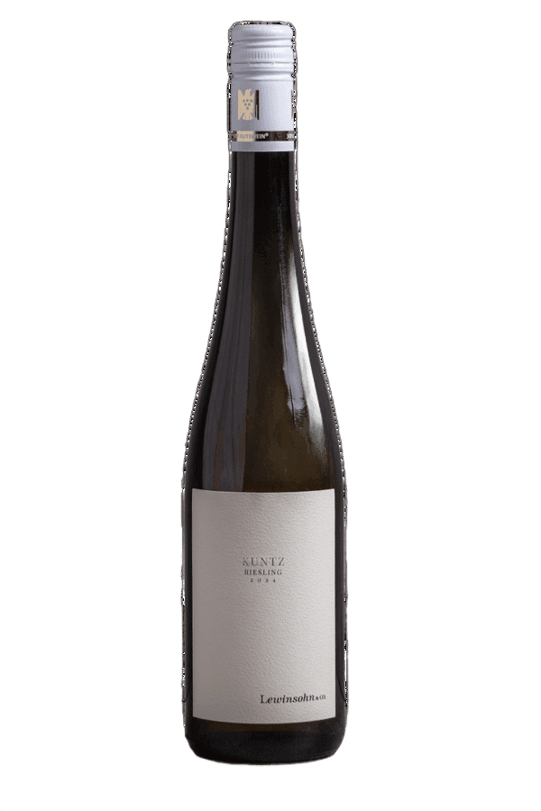תמונת ביקורת