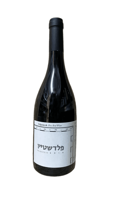 תמונת ביקורת