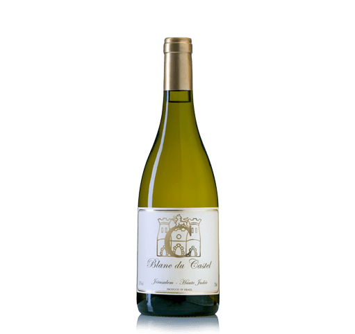 תמונת ביקורת