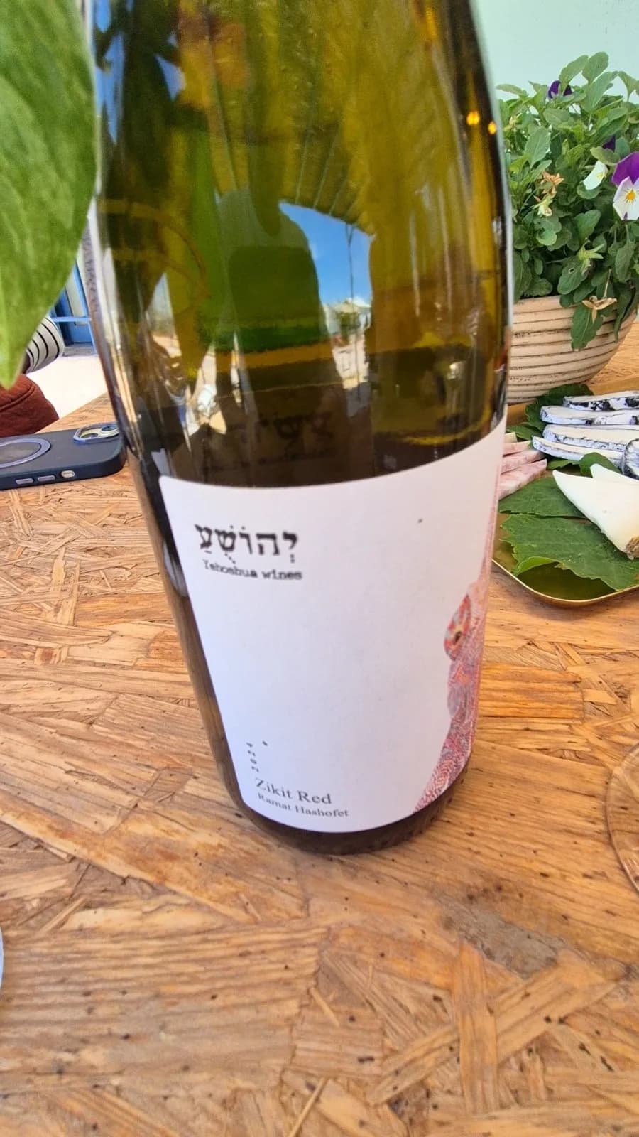 תמונת ביקורת